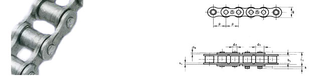 Cadenas de Rodillos Inoxidables Coris