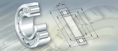 Rodamientos de rodillos cilíndricos de una hilera