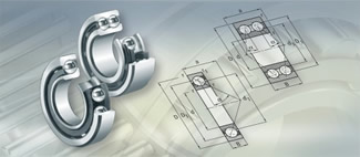 Rodamientos de contacto Angular de una o dos hileras de Bolas